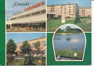 Pionki widoki widokowa - 051475