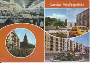 Gorzów Wielkopolski widokowa - 051529