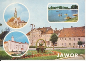 Jawor widoki widokowa - 051592