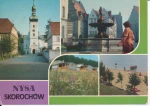 Nysa Skorochów widokowa - 051714