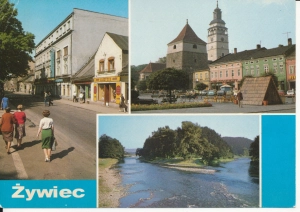 Żywiec widoki widokowa - 051717