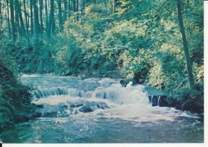 Roztocze widoki widokowa - 051734