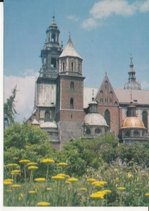 Kraków Katedra na Wawelu - 051736