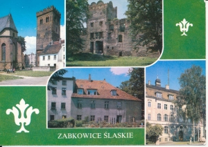 Ząbkowice Śląskie widokowa - 051746
