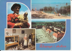 Zbąszyń widoki widokowa - 051835