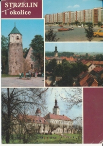 Strzelin widoki widokowa - 051952