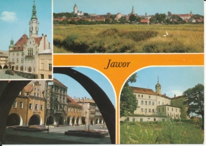 Jawor widoki widokowa - 052078