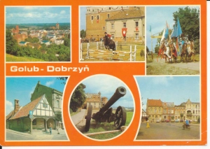 Golub Dobrzyń widokowa - 052298