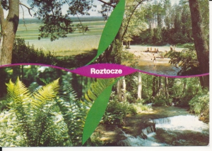 Roztocze widoki widokowa - 052568