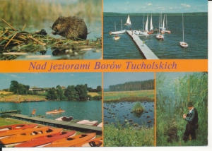 Bory Tucholskie widokowa - 052619