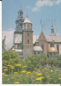 Kraków katedra - 052636
