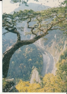 Pieniny Przełom Dunajca - 052697