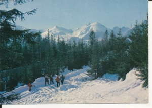Zakopane droga na Kalatówki - 052742