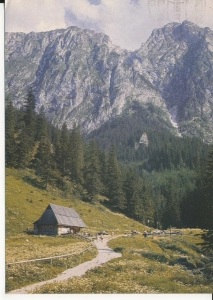 Tatry Dolina Strążyska - 052752