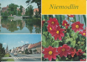Niemodlin widoki widokowa - 052936