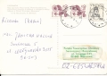IMG_0034.jpg