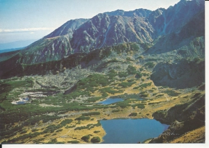 Tatry Hala Gąsienicowa - 052992