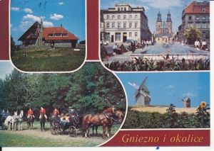 Gniezno i okolice widokowa - 053003
