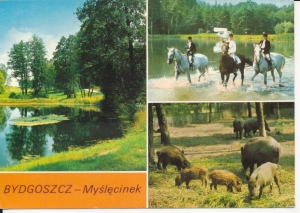 Bydgoszcz Myślęcinek widokowa - 053041
