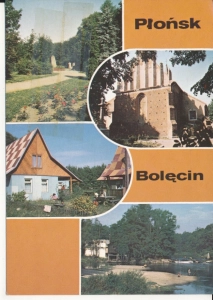Płońsk Bolęcin widokowa - 053078