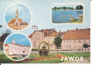Jawor widoki widokowa - 053096