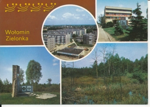 Wołomin Zielonka widokowa - 053138
