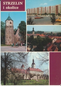 Strzelin i okolice widokowa - 053168