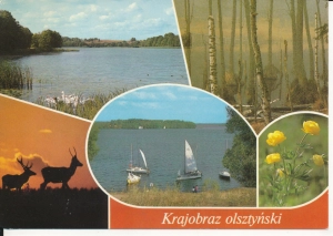 Krajobraz Olsztyński widokowa - 053174