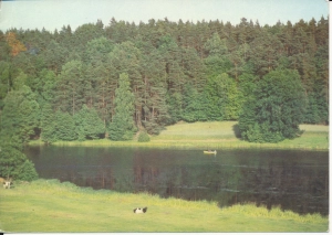 Bory Tucholskie - 053181