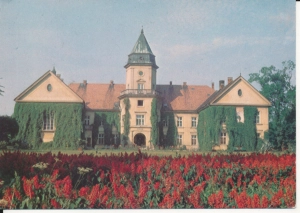 Tarnobrzeg Dzików pałac - 053265