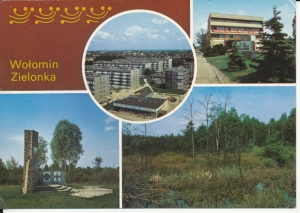 Wołomin Zielonka widokowa - 053283