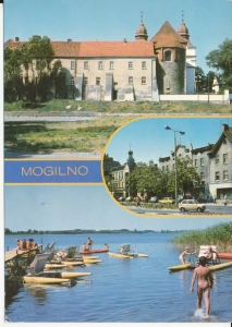 Mogilno widoki widokowa - 053305