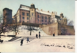 Kraków zamek królewski - 053442