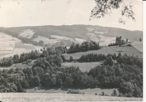 Kąty krajobraz okolic - 053496