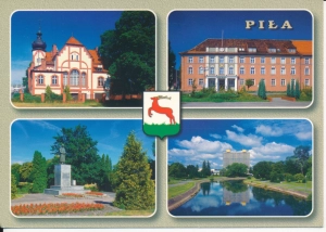 Piła widoki widokowa - 053503