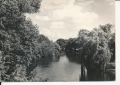 IMG_0013.jpg
