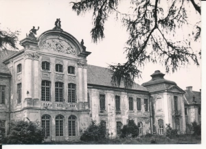 Radzyń Podlaski pałac - 053687