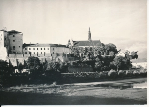 Sandomierz Zamek i Katedra - 053703