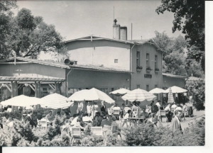 Chorzów restauracja Parkowa - 053756