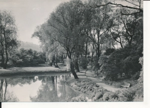 Chorzów Wojewódzki Park Kultury - 053757