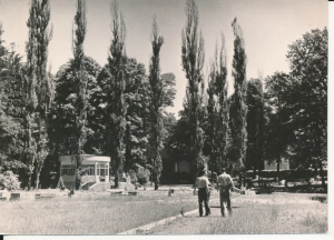 Jastrzębie Zdrój park - 053770