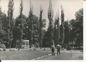 Jastrzębie Zdrój park - 053771