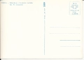 IMG_0010.jpg