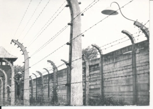Auschwitz Oświęcim obóz - 053805