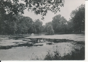 Siedlce park miejski - 053818