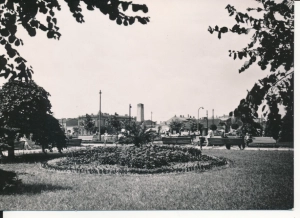 Włocławek Plac Wolności - 053822