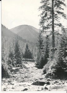 Tatry Trzydniowiański Wierch - 053838