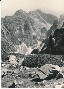 Tatry widok na Rysy - 053840