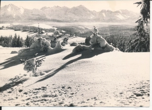 Tatry widok z Bukowiny Tatrzańskiej - 053852
