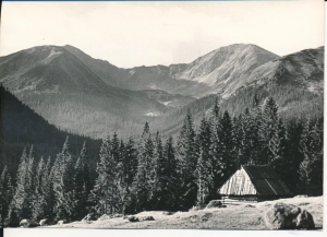 Tatry Dolina Chochołowska - 053856